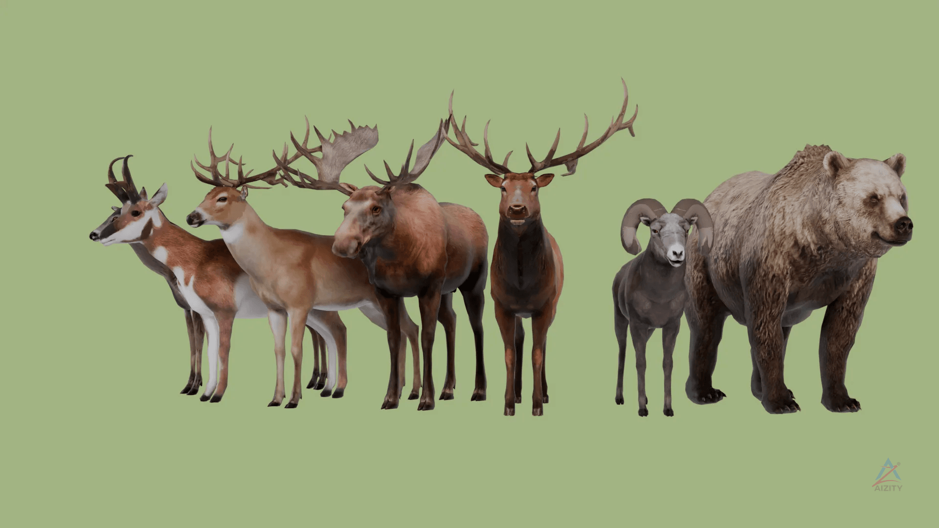 Realistic Animals PACK – 3D Model