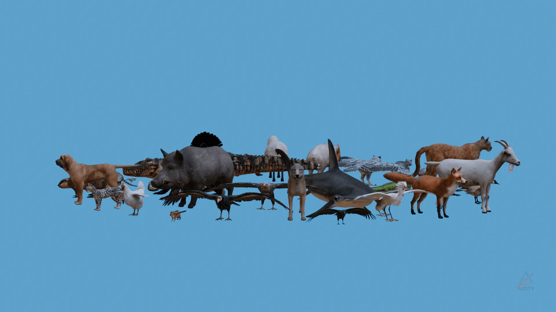 Realistic Animals Small Pack – 3D Model