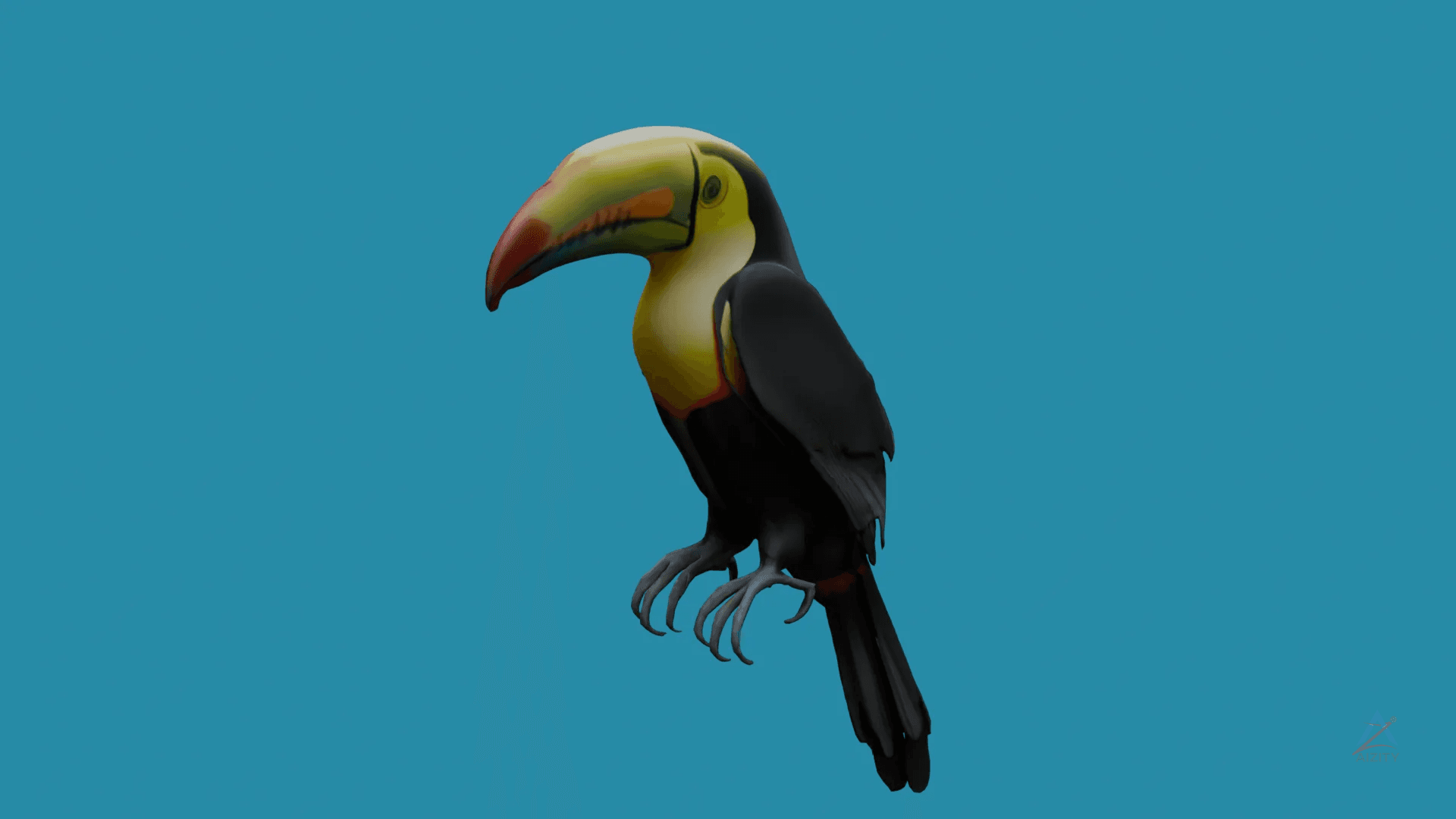Toucan 3D Model